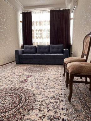 Apartment in the city center